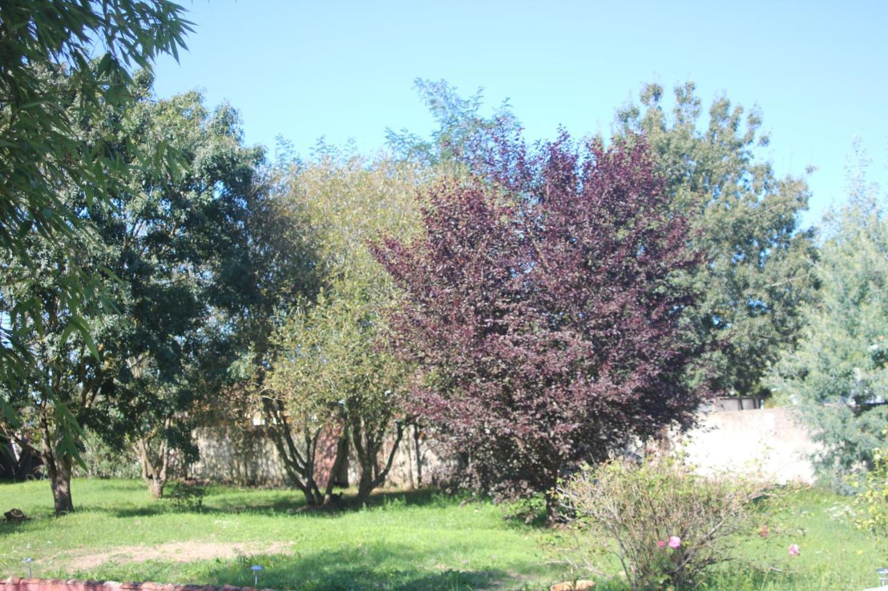 Appartamento L Entredeux Saint-Viaud Esterno foto